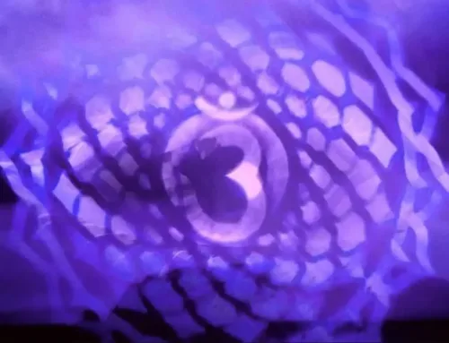 Ajna: el chakra tercer ojo