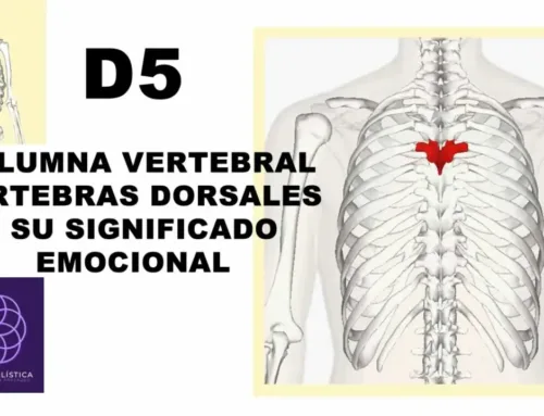 D5 – Columna vertebral – vértebras dorsales, significado emocional y formas de sanarlo